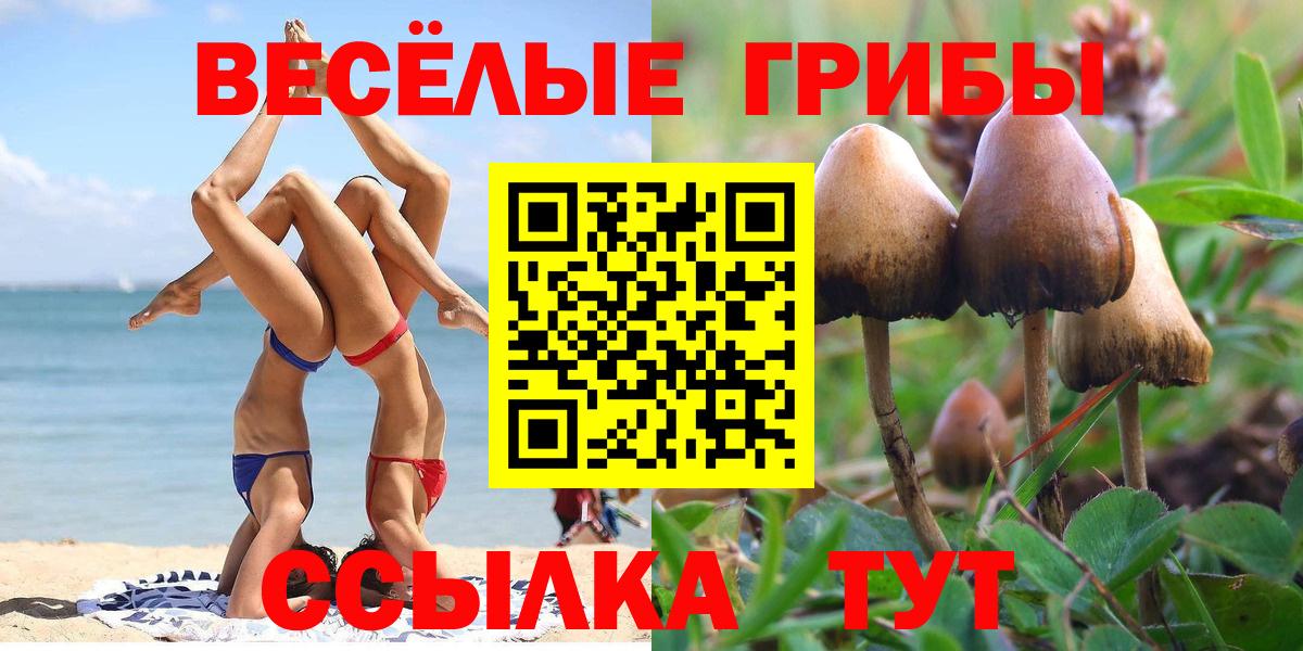 Баксан  купить закладку  Псилоцибиновые грибы GOLDEN TEACHER  Вход с VPN  Псилоцибиновые грибы MAGIC MUSHROOMS 
